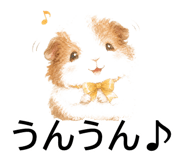845527465
