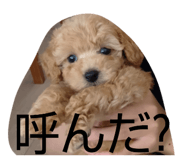 845529496