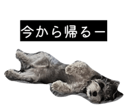 845530203