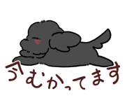 845530657