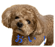 845530694
