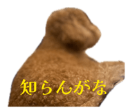 845530697
