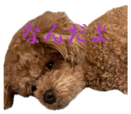 845530703