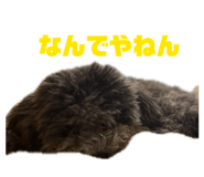 845530711