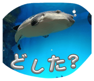 845530736