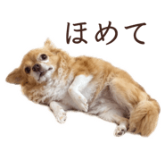 845531103