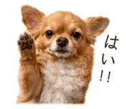 845531109