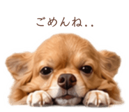 845531111
