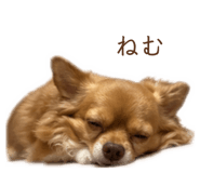 845531114
