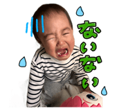 845531500
