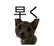 845531599
