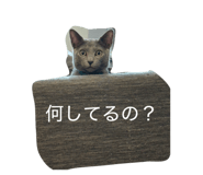 845531600