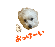 845531747