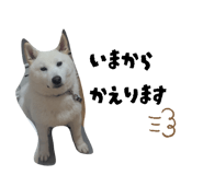 845532003