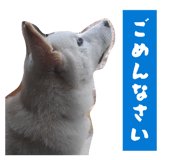845532005