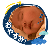 845532016