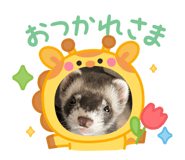 845532089