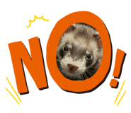 845532091