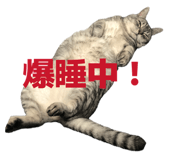 845532139