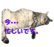 845532144