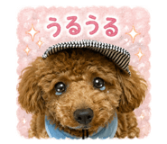 845532567