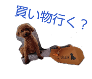 845532625