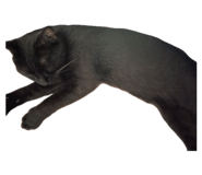 845532707