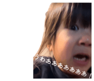 845532796