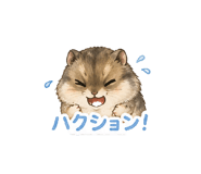 845532984