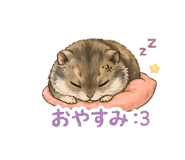 845532988