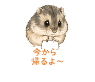 845532997