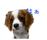 845533008