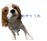 845533013