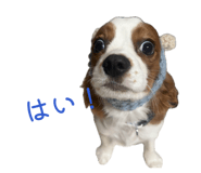 845533015