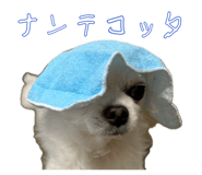 845533039
