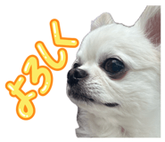 845533040