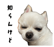 845533042