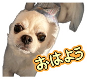 845533045