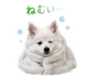 845533734