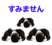 845533753