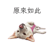 845534143