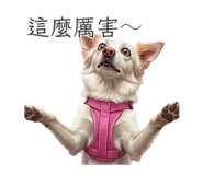 845534148