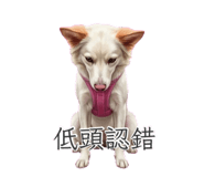 845534149