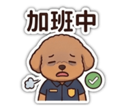 845534347
