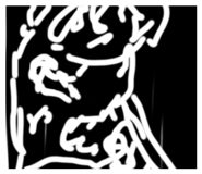 845534561