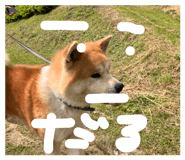 845534754