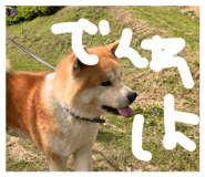 845534757