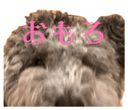 845535245