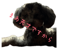 845535247