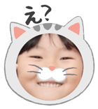 845535333